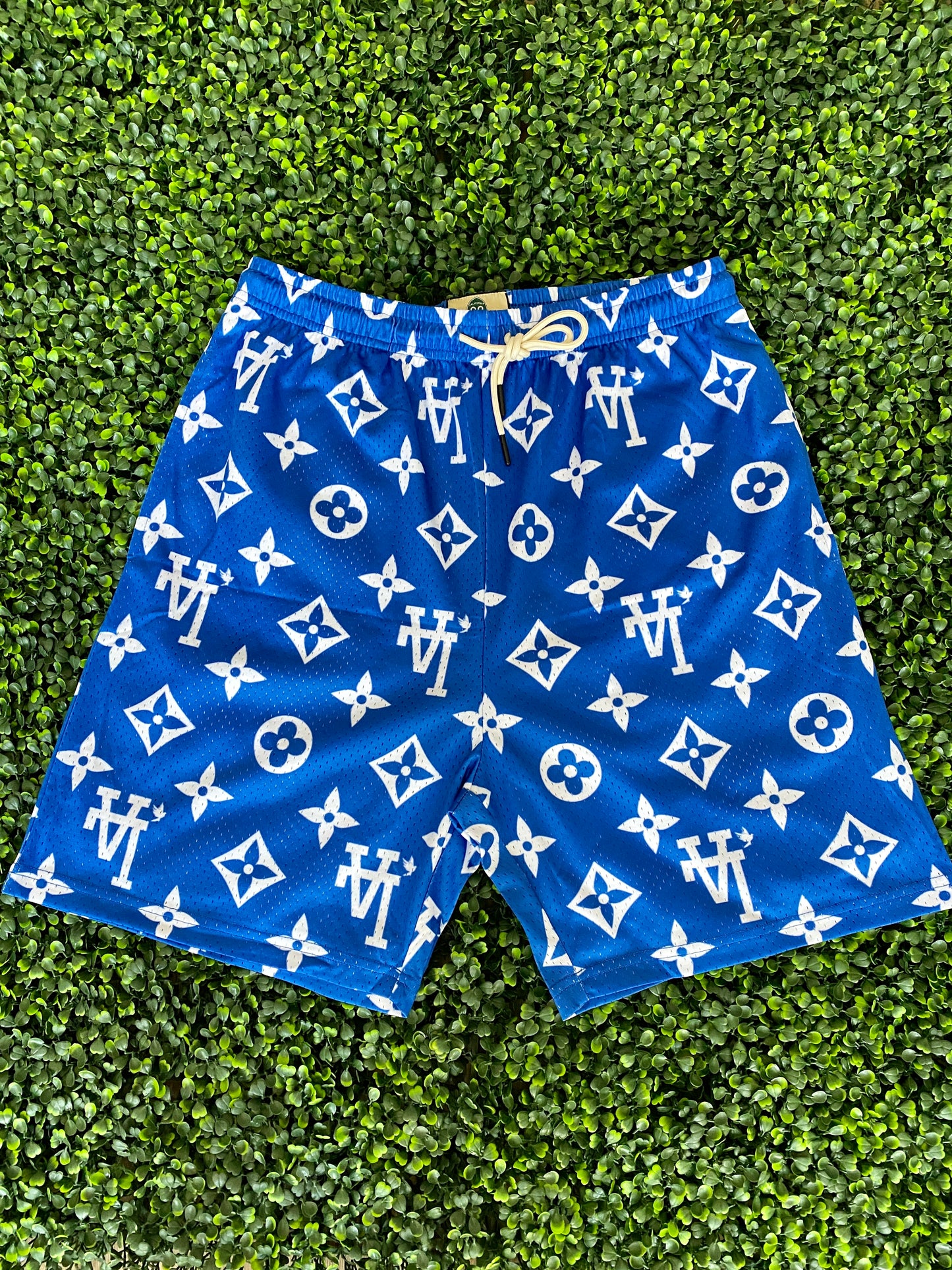 LA Mesh Shorts (Blue)