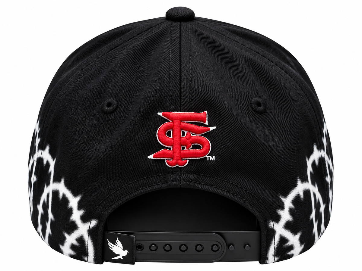 Fresno State "DOGS" Spray Paint Hat